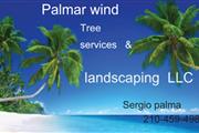 Palmar wind tree services en San Antonio