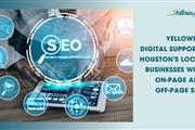 Local SEO Success in Houston en Houston