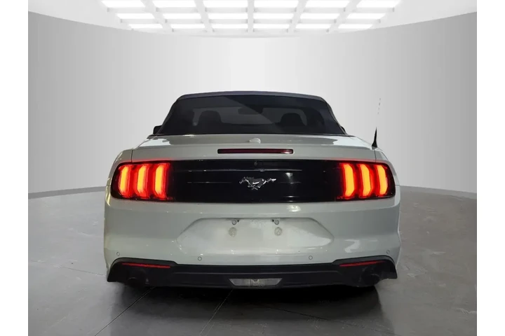 $19535 : Ford Mustang 2019 EcoBoost 2 image 6