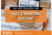 Sales & Marketing Assistant