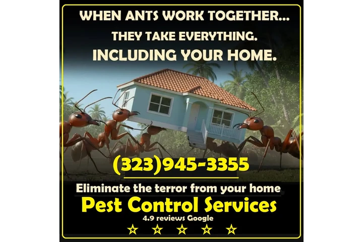 Fumigations - New Year 2026 image 3