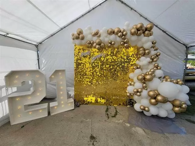Carpas,arcos deglobos image 2