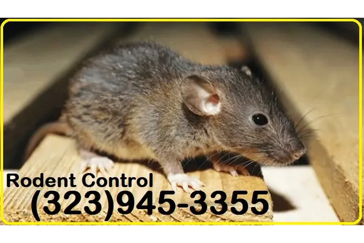 24/7 Rodent's Control-Repairs. image 10