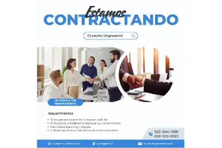 CONSULTOR EMPRESARIAL image 1