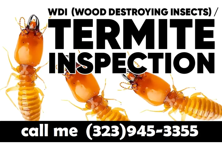 Fumigations - New Year 2026 image 10