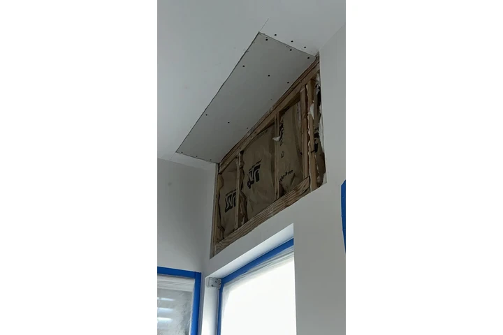 Pintura image 3
