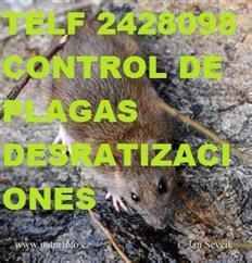 CEBO PARA RATAS TEL 2428098 image 2