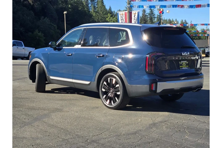 $39993 : Kia Telluride 2024 AWD SX 4d image 6