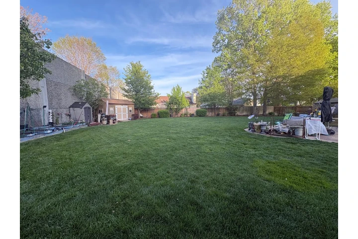 Professional Landscaping image 10