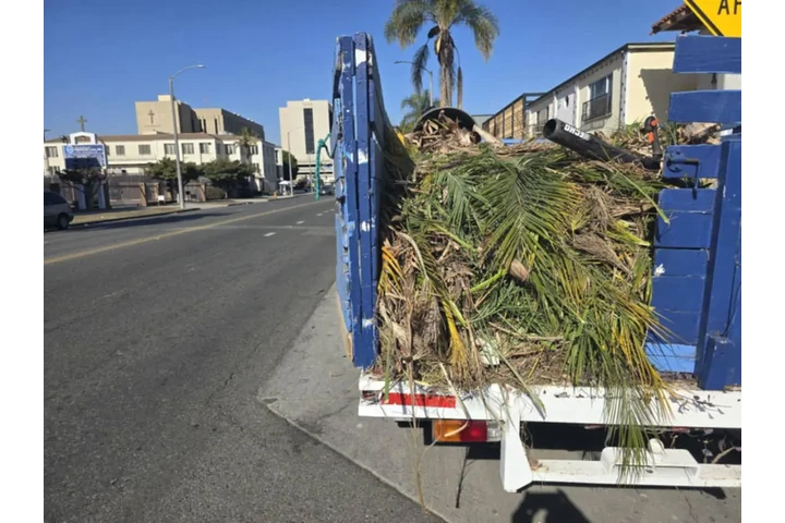 Corte de pasto 🌿👷🏼 image 6