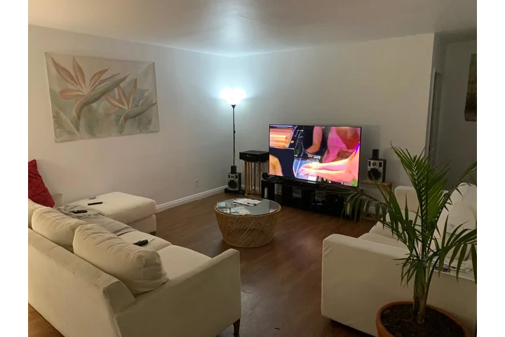 $800 : $800 / 1br image 1