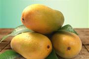 Licious Mangoes thumbnail 4