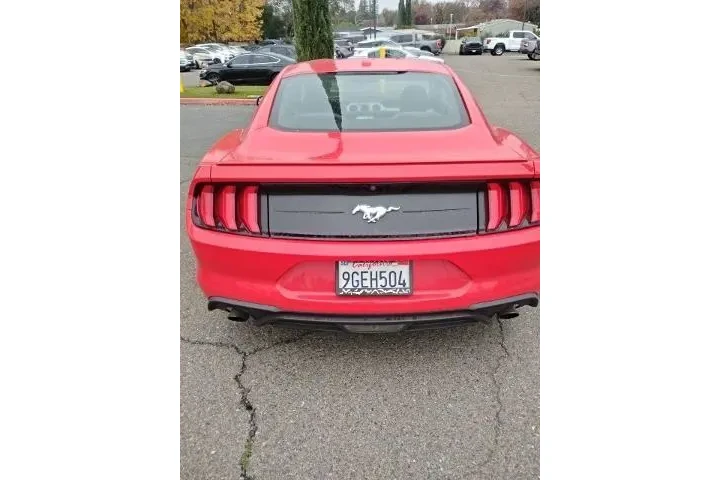 $20988 : Ford Mustang 2019 EcoBoost 2 image 2