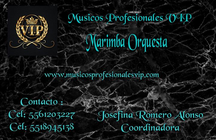 Músicos Profesionales VIP image 9