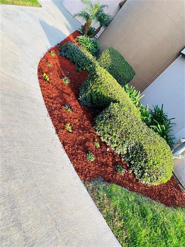 Lorenzo Landscaping Services image 2