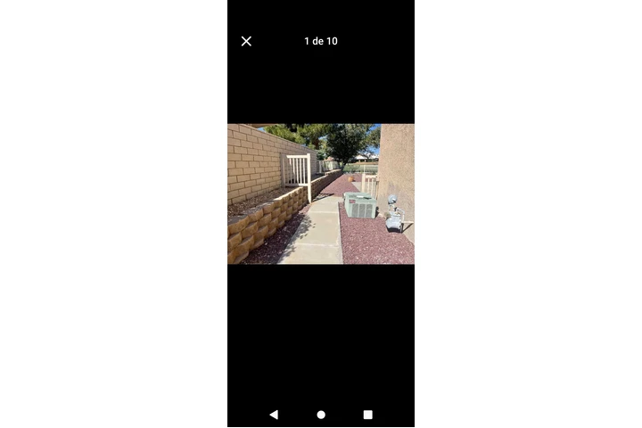 Ro. painters image 4