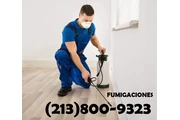 Pest Control Services 24/7. en Los Angeles