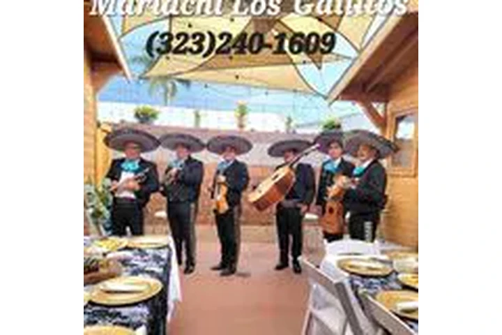 Mariachi Los Gallitos image 4