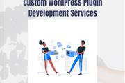 WordPress Plugin Development en Wilmington