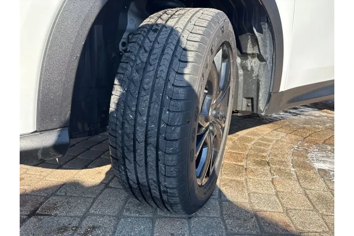 $24998 : 2024 Hornet GT Plus image 10