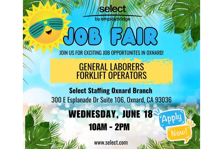 Job Fair image 1