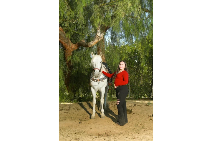 360 El Torito image 6