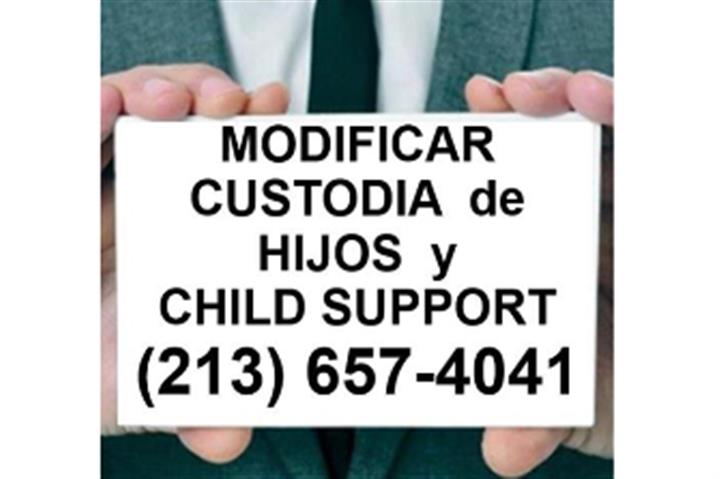 DESEA MODIFICAR CHILD SUPPORT? image 1