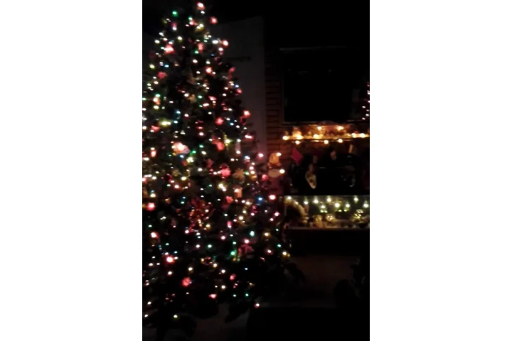 $120 : Árbol de Navidad 9 Pies Barato image 3