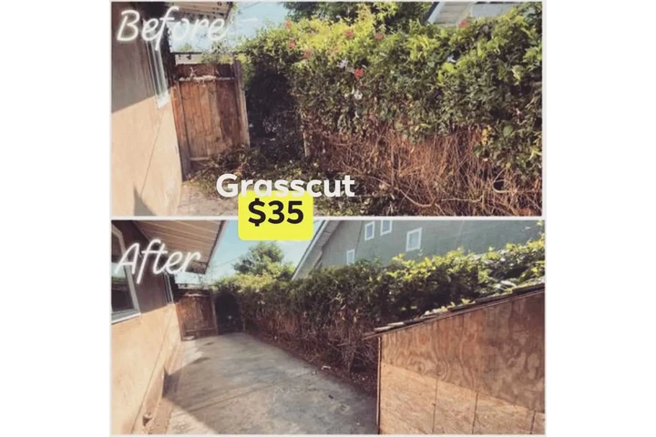 Grasscut weeds shrubs 🏡📲🌴 image 3
