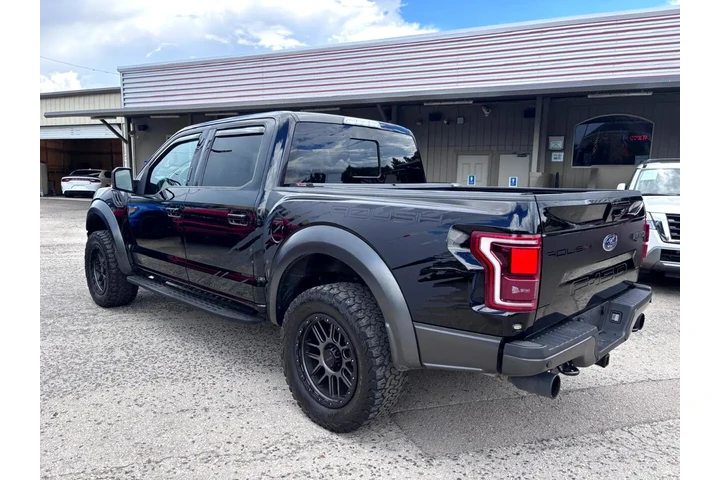2018 F-150 Raptor image 5