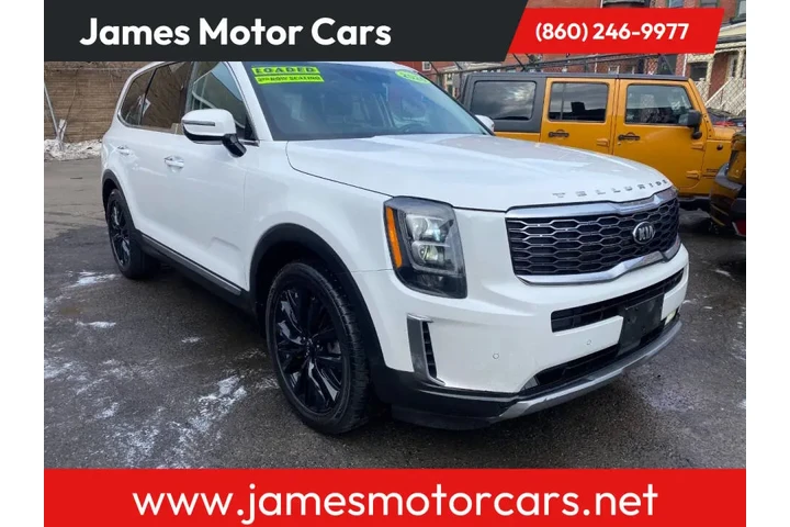 2020 Telluride SX image 1