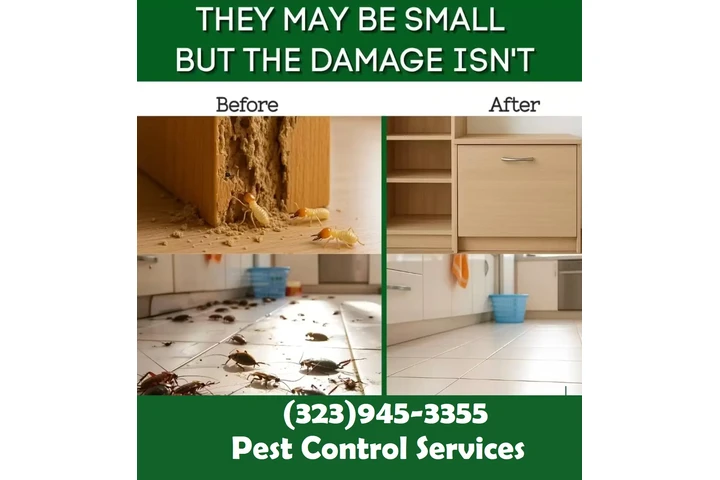 FUMIGATION - LOCAL TREATMENTS image 4