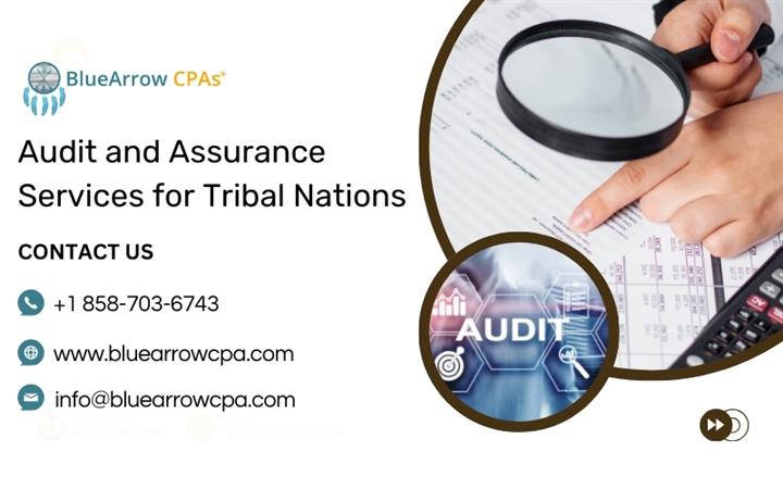 Audit and Assurance Services image 1