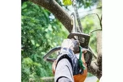🌳TRIMMERS/PODADORES📍La Habra thumbnail