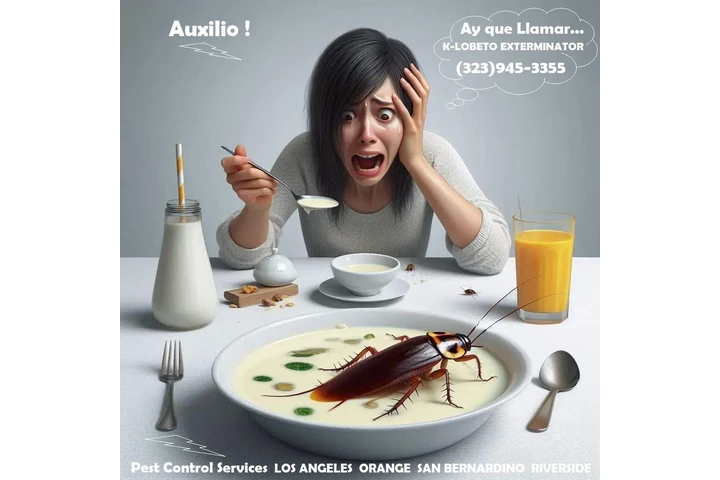 PEST CONTROL COMMERCIAL 24/7.- image 4