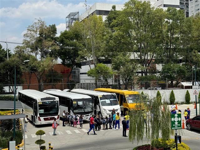 Transporte Escolar image 8