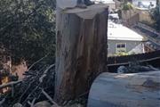 TREE SERVICE BERKE san ramon thumbnail