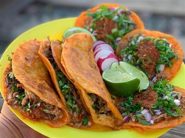 Tacos tortillas recién hechas image 2