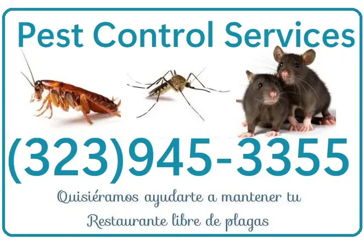 FUMIGACIONES RESTAURANTES 24/7 image 1