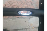 Tumba burros en Queretaro