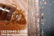 Pest Control Orange County thumbnail