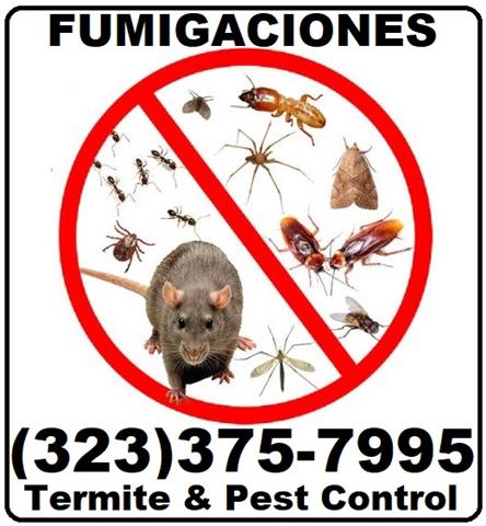 ¿FUMIGACIONES 24/7 EAST L.A.? image 4