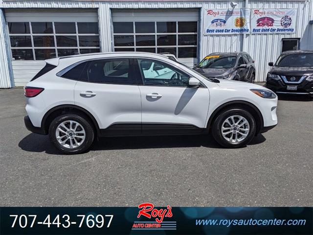 $18995 : 2020 Escape SE AWD SUV image 2