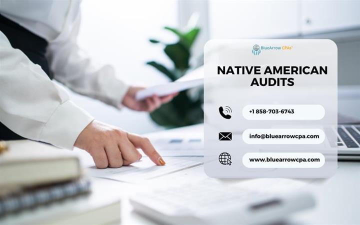 BAI - Native American Audits image 1