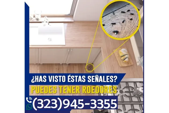 PEST CONTROL SERVICES image 7