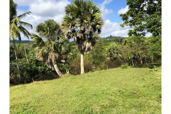 Vendo Finca para proyecto image 6