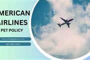 American Airlines Pet Policy en Phoenix