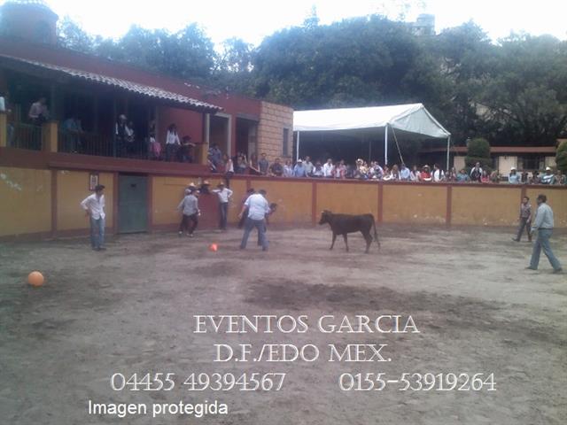 Charlotada Vacas bravas Torogo image 3