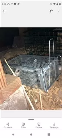 Wenceslao pest control image 1