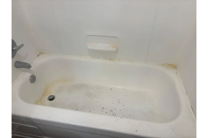 Jazmin's house cleaning image 4